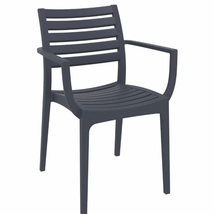 Outdoor Chairs * | Compamia Siesta Artemis Outdoor Set Of 2 Dining Arm Chair Dark Gray Isp011-Dgr