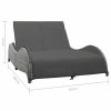 Outdoor Chairs * | Vida Xl International B.V. Vidaxl Double Sun Lounger With Cushion Poly Rattan Anthracite Garden Sofa Seat